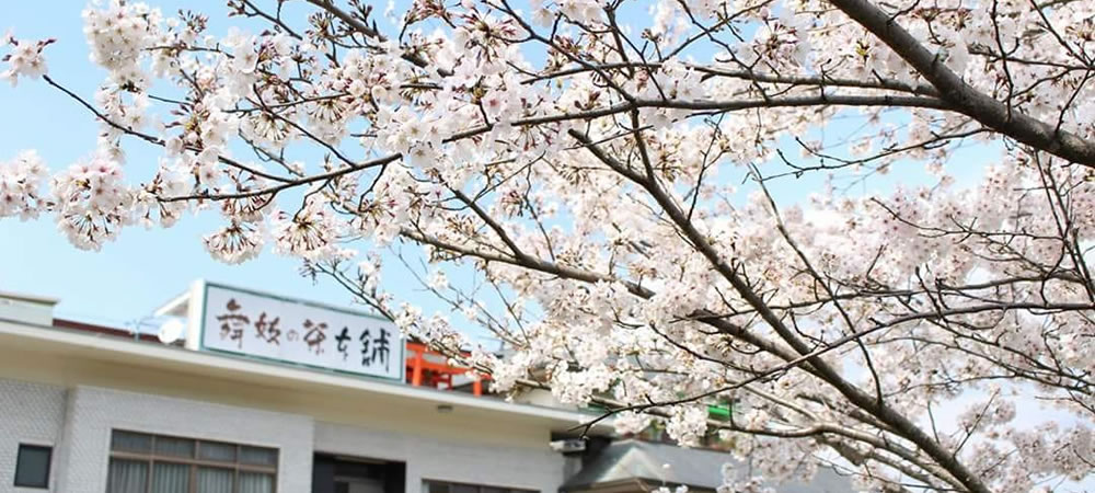 舞妓の茶本舗_会社概要