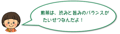 煎茶は、渋みと旨みのバランスがたいせつなんだよ！