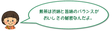 煎茶は渋味と旨味のバランスがおいしさの秘密なんだよ。